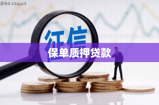 滁州保单质押贷款
