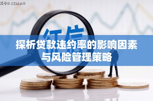 南投探析贷款违约率的影响因素与风险管理策略