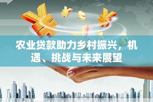 三湾农业贷款助力乡村振兴，机遇、挑战与未来展望
