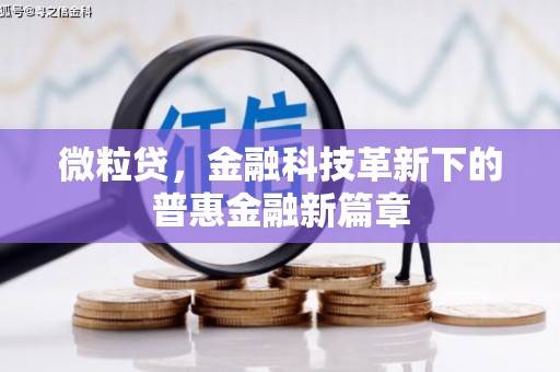 连云微粒贷，金融科技革新下的普惠金融新篇章