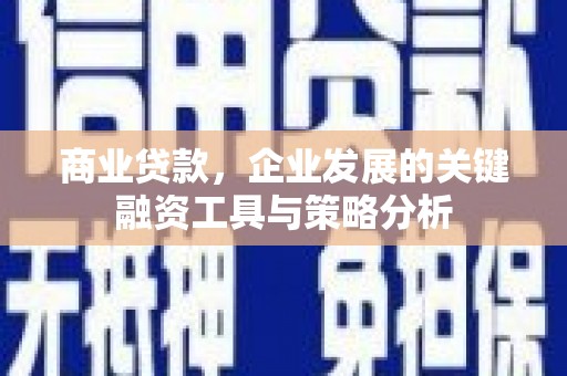 西和商业贷款，企业发展的关键融资工具与策略分析