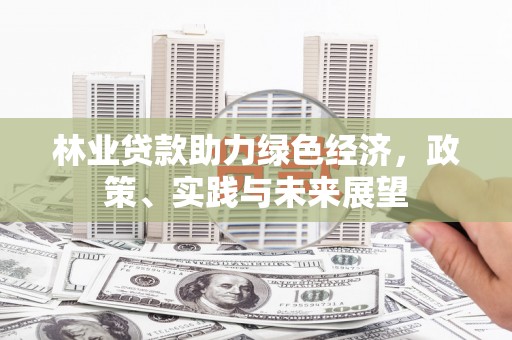 惠东林业贷款助力绿色经济，政策、实践与未来展望