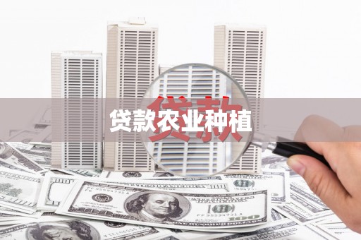 和林格尔贷款农业种植