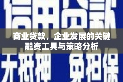 新和商业贷款，企业发展的关键融资工具与策略分析
