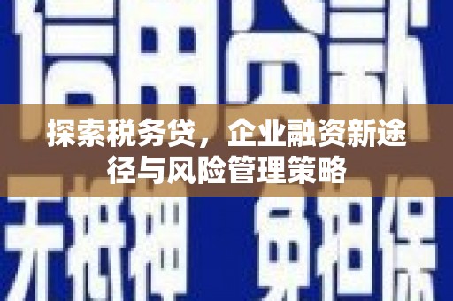 金城探索税务贷，企业融资新途径与风险管理策略