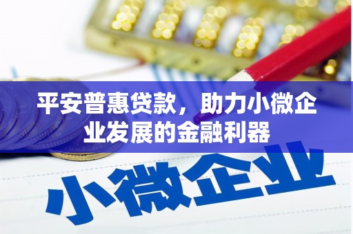 单县平安普惠贷款，助力小微企业发展的金融利器