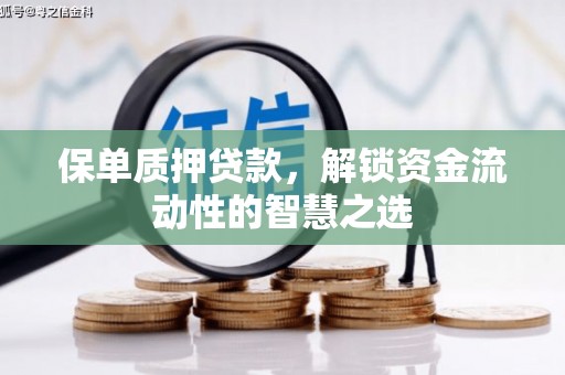 纳雍保单质押贷款，解锁资金流动性的智慧之选