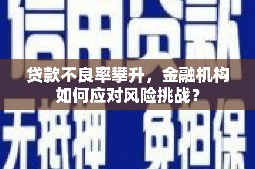 保德贷款不良率攀升，金融机构如何应对风险挑战？