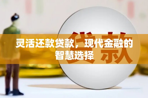 曲麻莱灵活还款贷款，现代金融的智慧选择