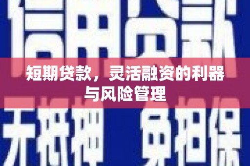 东阿短期贷款，灵活融资的利器与风险管理