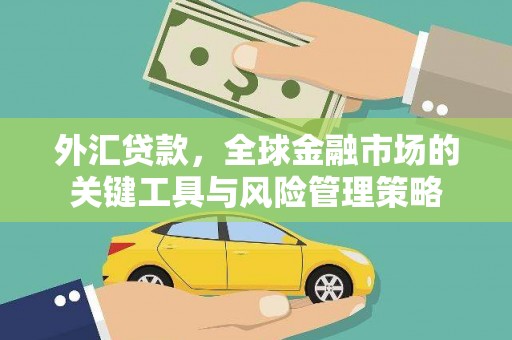 长滨外汇贷款，全球金融市场的关键工具与风险管理策略