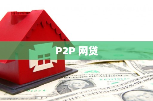 桥东P2P 网贷