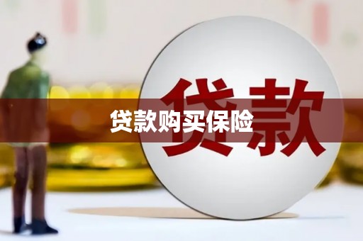 京口贷款购买保险
