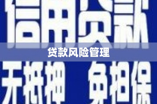 朴子贷款风险管理