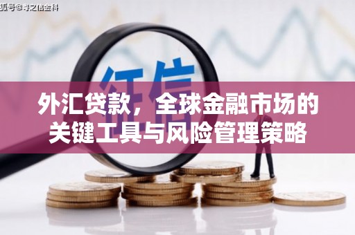 张掖外汇贷款，全球金融市场的关键工具与风险管理策略