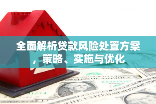 桓台全面解析贷款风险处置方案，策略、实施与优化