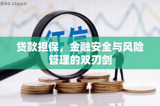 会昌贷款担保，金融安全与风险管理的双刃剑