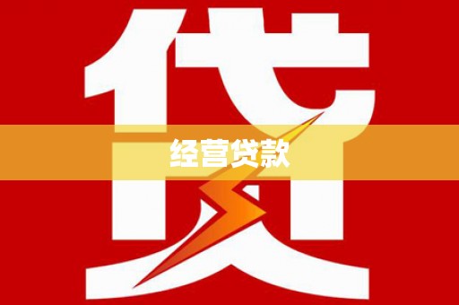 洋县经营贷款