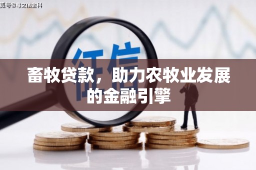 京山畜牧贷款，助力农牧业发展的金融引擎
