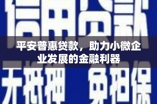 襄阳平安普惠贷款，助力小微企业发展的金融利器