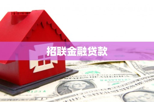 金寨招联金融贷款