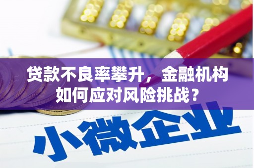 成功贷款不良率攀升，金融机构如何应对风险挑战？