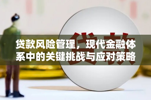 黄陂贷款风险管理，现代金融体系中的关键挑战与应对策略