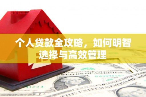 民勤个人贷款全攻略，如何明智选择与高效管理