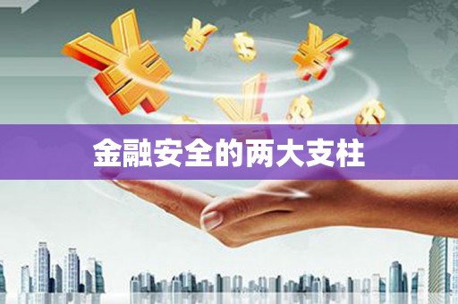 芒市金融安全的两大支柱