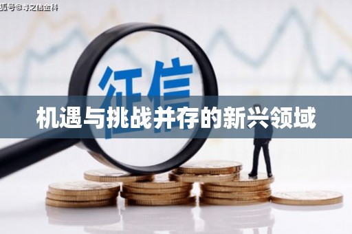 潜江机遇与挑战并存的新兴领域