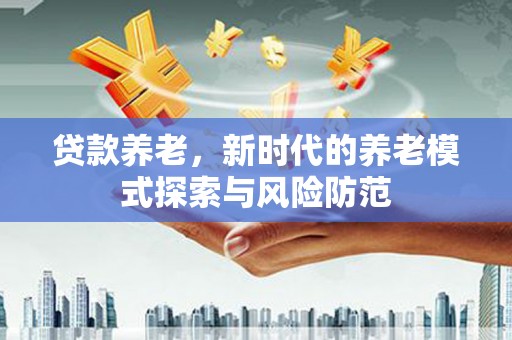龙崎贷款养老，新时代的养老模式探索与风险防范