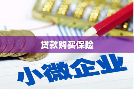 岭东贷款购买保险