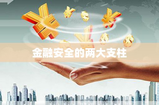 通山金融安全的两大支柱