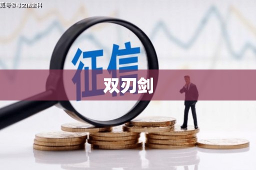 鹤岗双刃剑