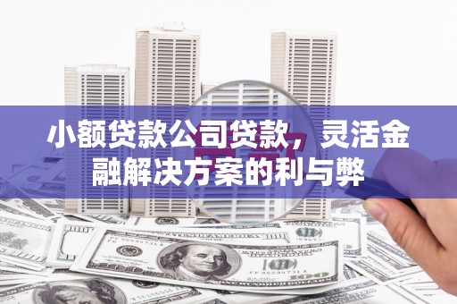 高安小额贷款公司贷款，灵活金融解决方案的利与弊