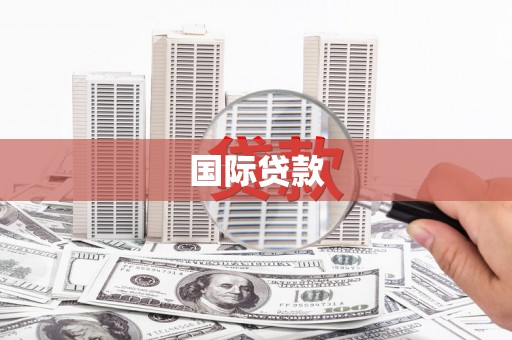 岭东国际贷款